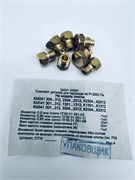 Набор сопел для перевода газовых плит без термостата на сжиженный газ Дарина 3000Па GM241240001