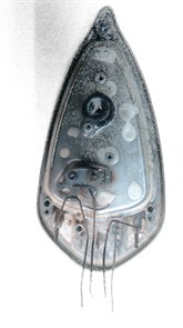 Подошва утюга Tefal Б/у 11458
