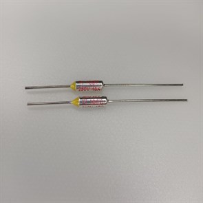 Термопредохранитель 100C 10A 250V RTS17476000007783