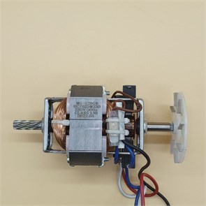 Мотор MG-120 GB HC7625M230 для мясорубки Leran MGP-1411 RTS174760000083608