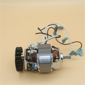 Мотор 70/30 для электрической мясорубки Binatone MGP-1414 RTS174760000084227