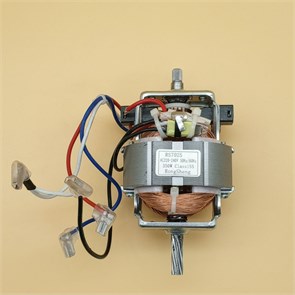 Мотор RS7025 для мясорубки VITEK VT-1670 RTS174760000084029